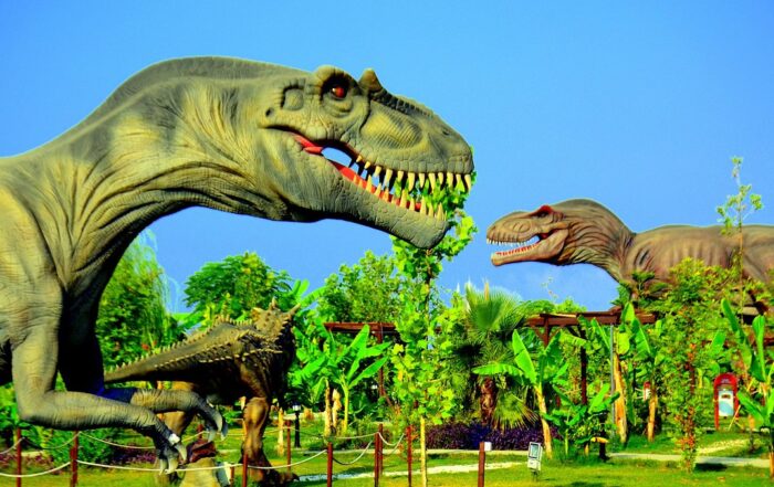 Gazipaşa Airport to Animal Park Manavgat Side Private Transfer Services alanyatransfer.com