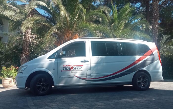 Comprehensive 247 Transfer Services from Kestel to Kalkan