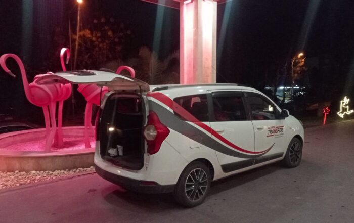 Seamless Private Transfer Services from Gazipaşa Airport to Gülser Apartment No50 in Oba Alanya