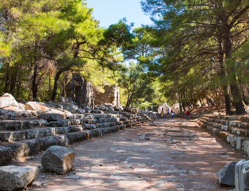 Discover the Ancient Beauty of Phaselis and Enjoy a Comfortable Transfer with Our Kemer Transfer Service