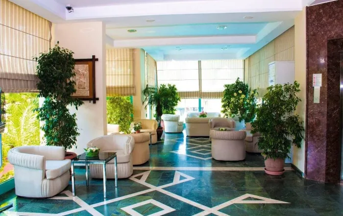Experience the Ultimate in Comfort and Style VIP Transfer Services from Antalya AYT Airport to Side Bay Hotel for a Luxurious Arrival