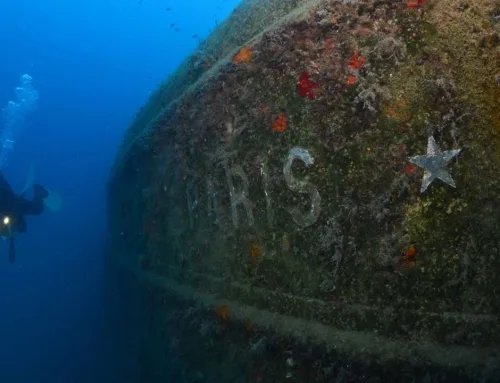 Discover the Paris Wreck Dive into History and Adventure with Reliable Kemer Transfer Services