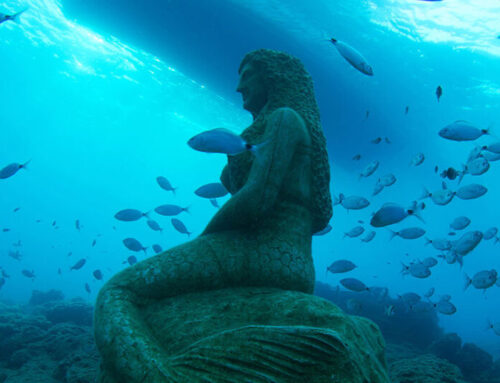 Explore the Depths of History and Art Discover the Side Underwater Museum with Easy Private Transfers from alanyatransfer.com
