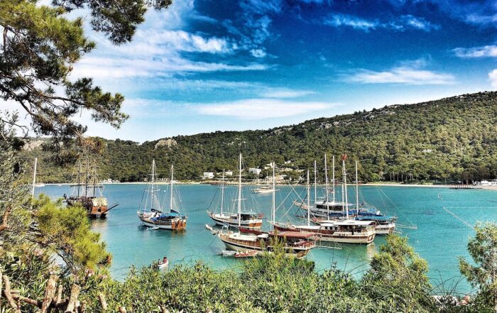 Step Into Turkish Nomadic Culture Discover Folkloric Yörük Park in Kemer with Comfortable Private Transfers