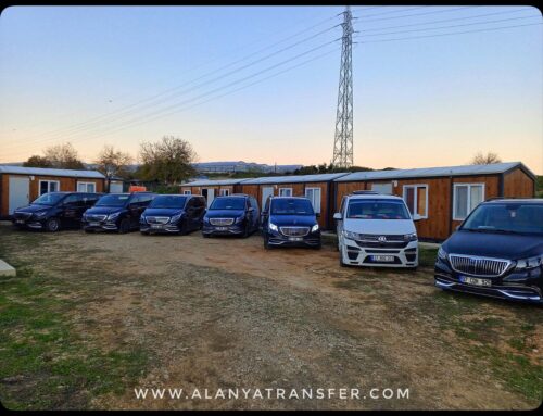 Side to Çıralı 7/24 Private Transfer Services Comfortable Safe and On Time Transportation from Side to the Heart of Nature