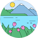 Nilgün V. profile picture