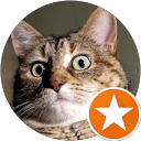 Никос profile picture