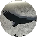 İsmail E. profile picture