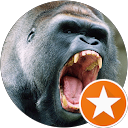 Pawel S. profile picture