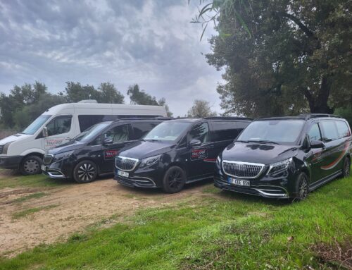 Privater Transfer vom Flughafen Gazipaşa-Alanya zur Dim-Höhle (Dim Mağarası)